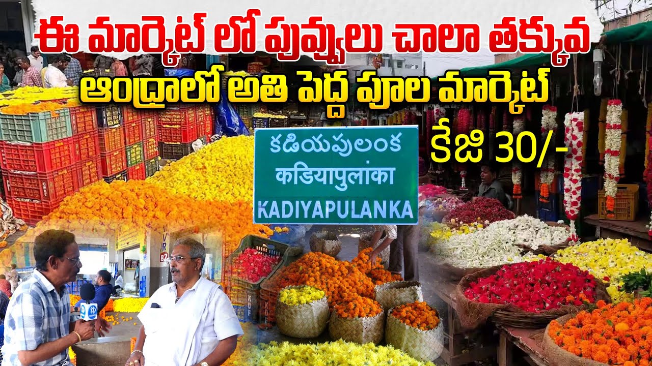 కడియపులంక ఆంధ్రాలో అతి పెద్ద పూల మార్కెట్  | KadiyapuLanka Flower Market | I Dream