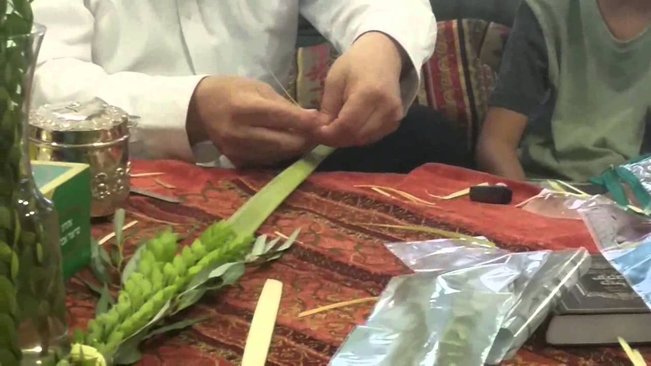 הרב שמואל אליהו שליט
