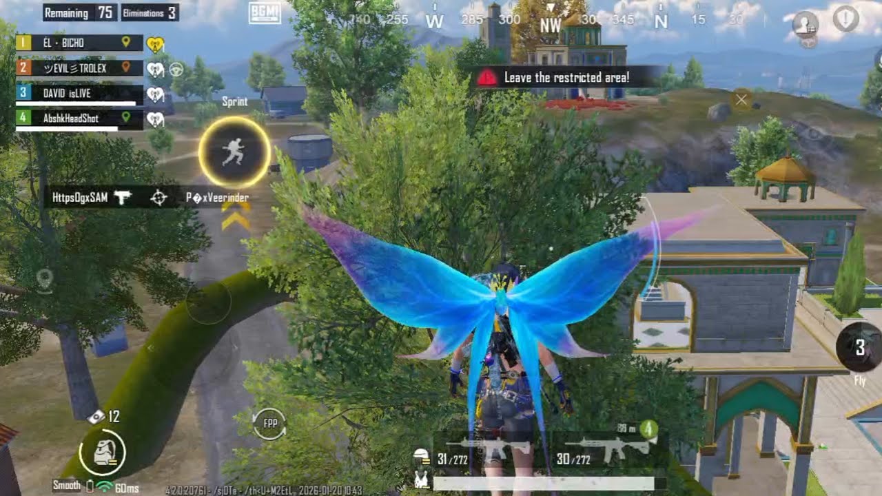 David is live  is live
