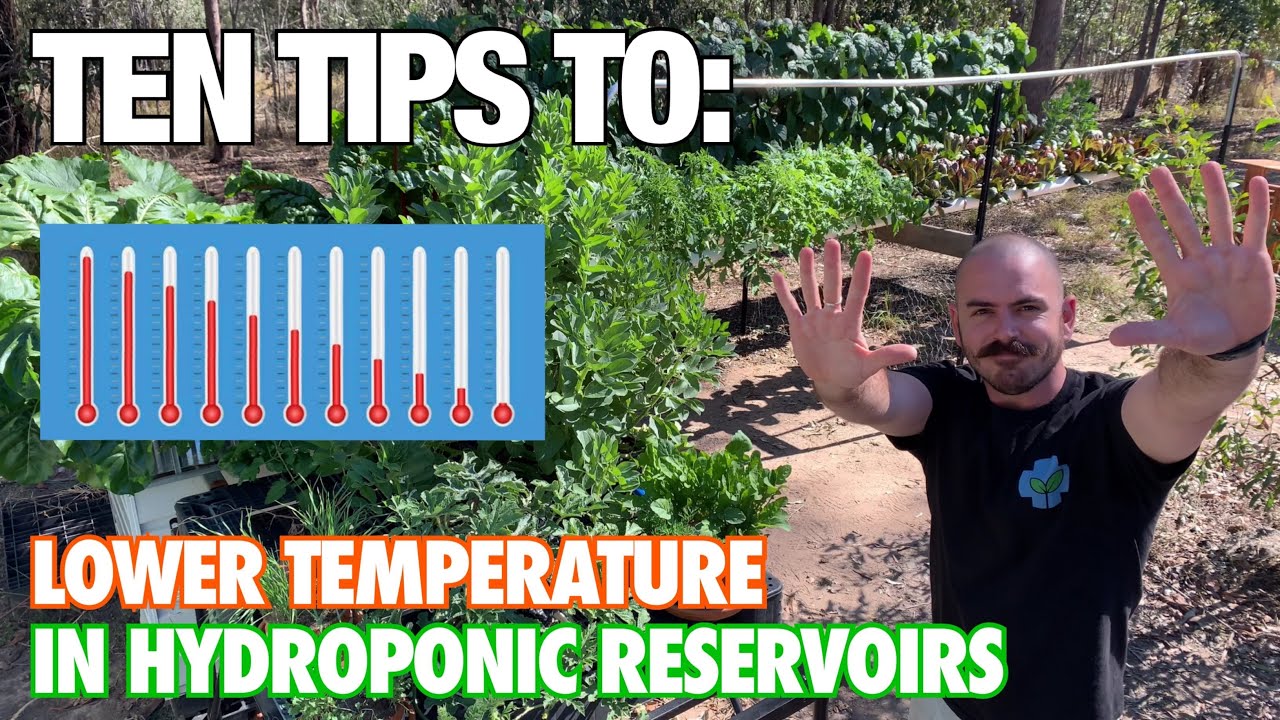 How to: Lower the Temperature of your Hydroponic Reservoir
