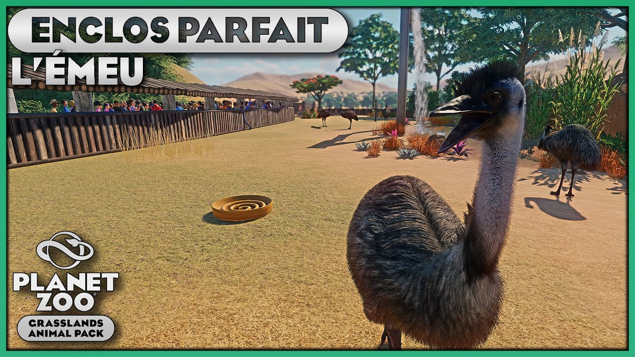 100% du bien-être des Émeus | LES ENCLOS PARFAITS : ÉPISODE 119 | PLANET ZOO