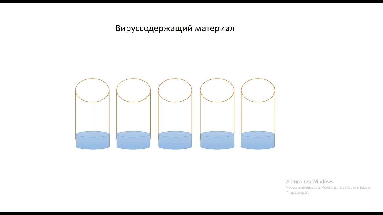 Этапы постановки РТГА для определения типа вируса