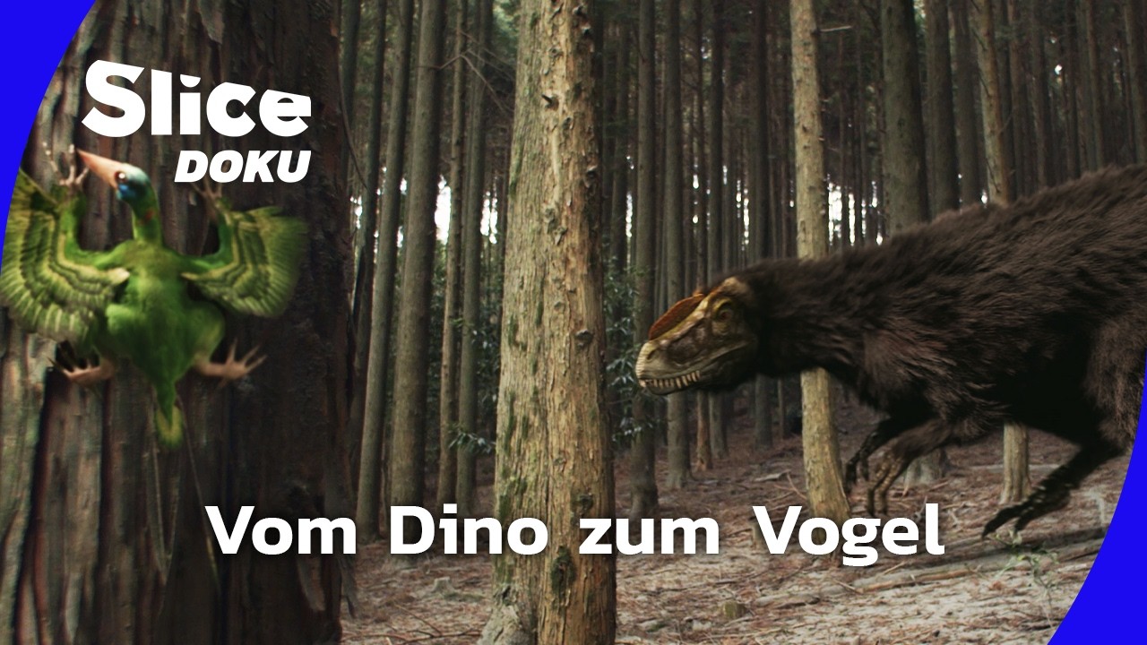 Die vergessene Urzeit | Folge 2: die Gefiederte Drachen | Slice Doku