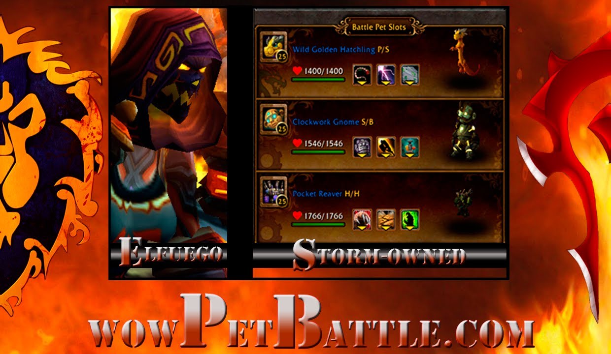 Best Wow Pvp Pet Battle Team Stormowned wowpetbattle.com