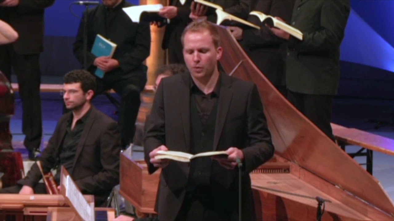 Johannes Passion, BWV 245   Betrachte, meine Seel', Benoit Arnould   Live at Festival St Denis
