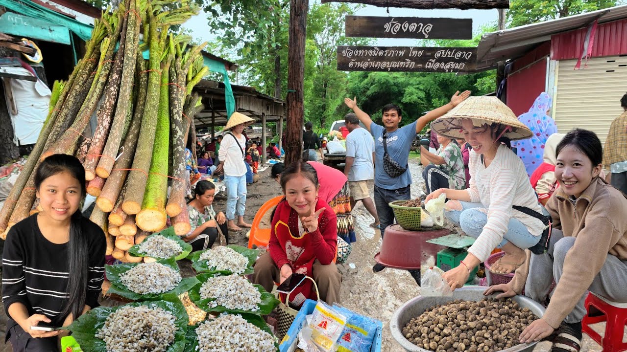 ช่องตาอู ตลาดอาหารป่า ช่องทางมิตรภาพไทย-ลาว อ.บุณฑริก จ.อุบลราชธานี