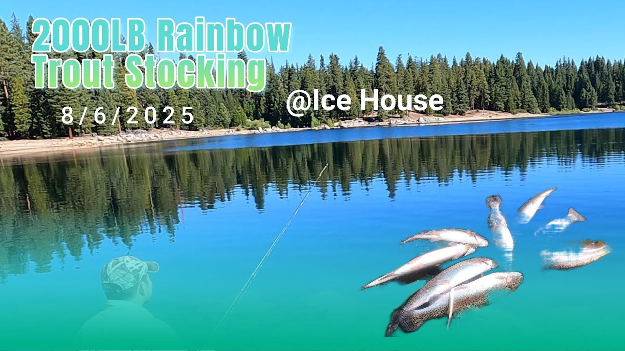 2000lb Rainbow Trout Stocking At Ice House Fishing Update