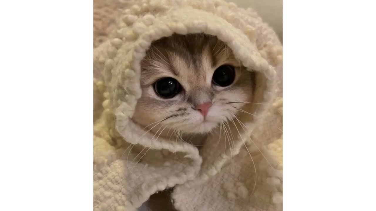 angel #48 - aespa (pluggnb flip)