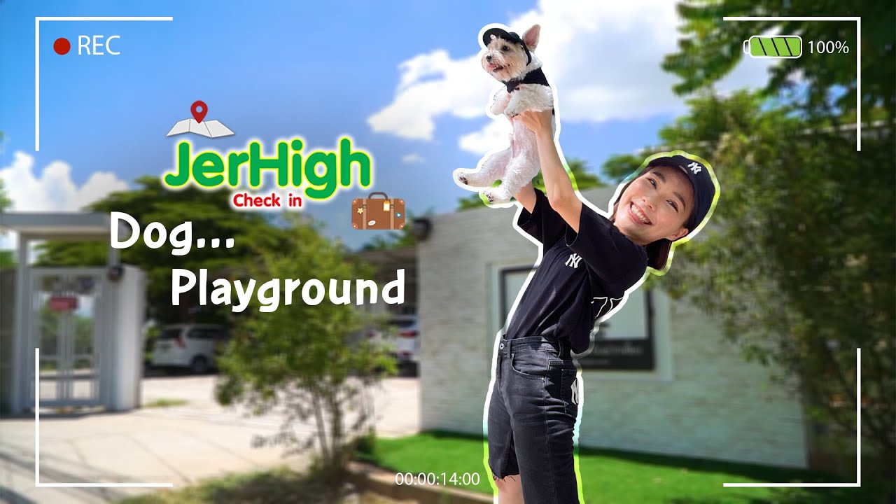 Jerhigh Check-in | Dog Playground : สระว่ายน้ำสุนัข ย่านพระรามสอง