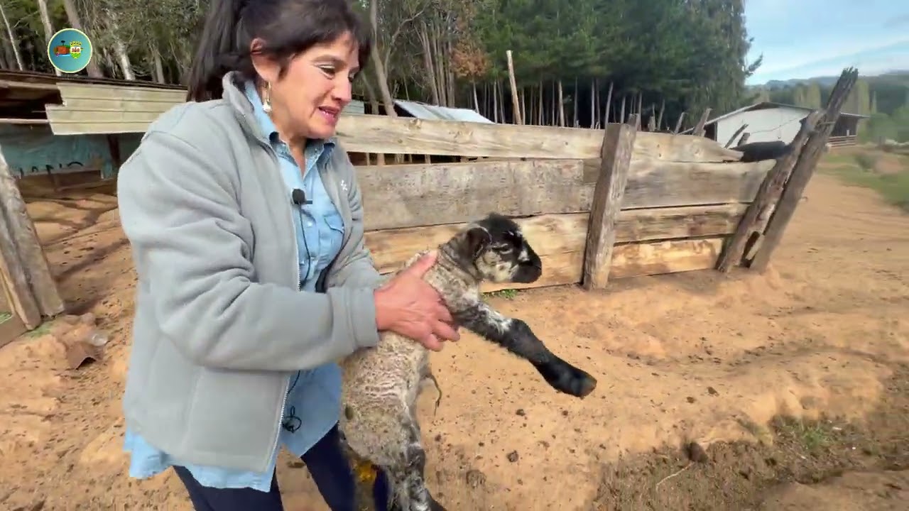 D&iacute;a de la Mujer Rural - 15 Octubre 2022