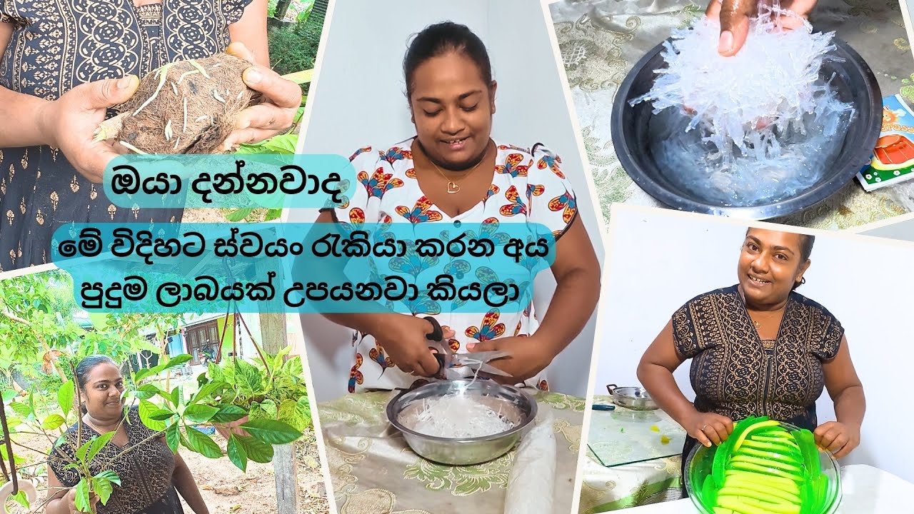 මේවා ගැන නොදන්න අයටයි දැන දැනත් වැරද්ද ගත්ත අයටයි මෙන්න හරිම විදිහ - VeggieMaster