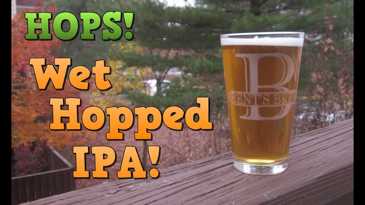 IPA with 2023 Fresh Hops! (Homegrown Chinook)