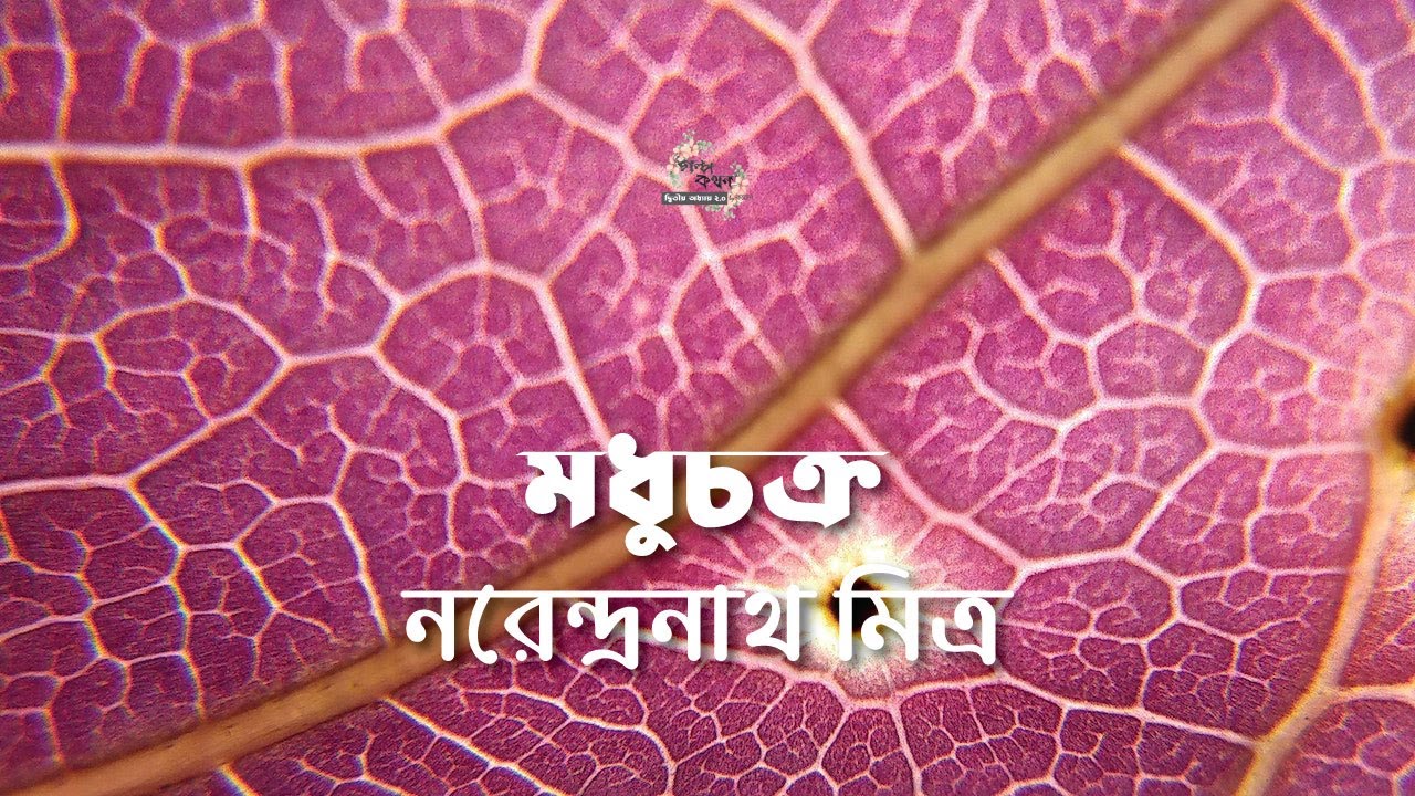 মধুচক্র | নরেন্দ্রনাথ মিত্র | Narendranath Mitra | | বাংলা ছোট গল্প | Bangla Audio Story