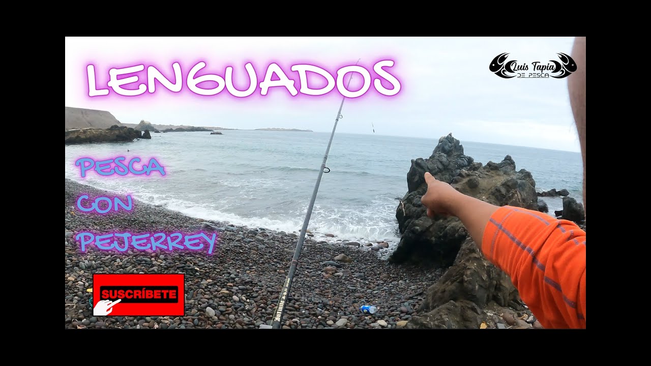 LENGUADOS pesca con pejerrey