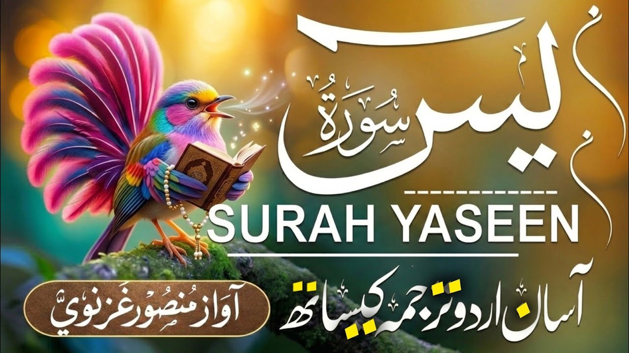 Surah Yasin ( yaseen ) With Urdu Translation |(سورة يس )🌿 Quran with Urdu and Hindi Tarjuma |Epi 324