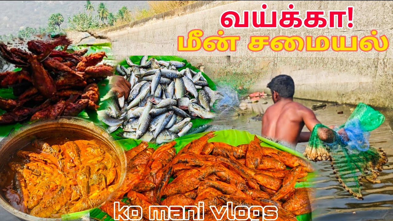 🔥10KG வாய்க்கால் மீன் வேட்டை 🔥 Fish fry and Fish 🐟 Gravy #ko mani gaming