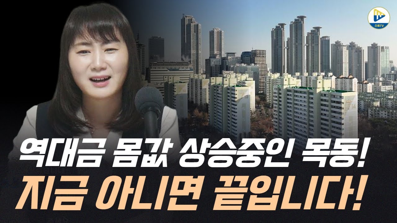 (메디테라)역대금 몸값 상승중인 목동!지금 아니면 끝입니다!