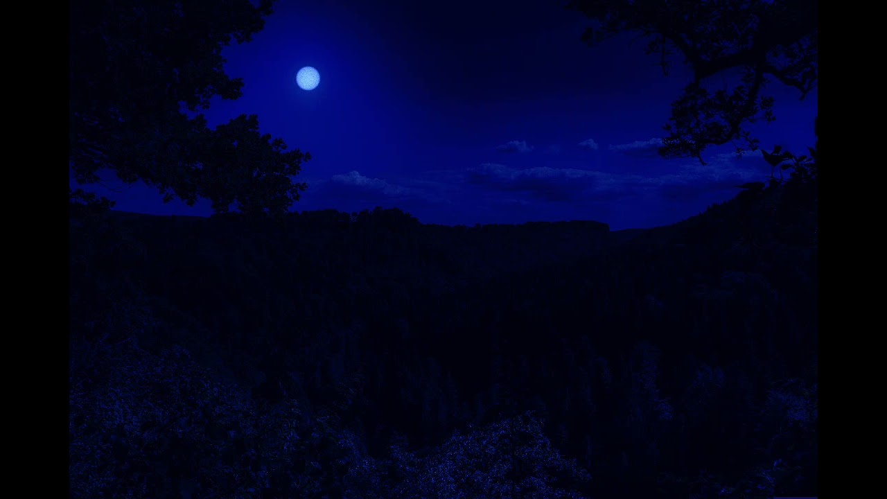 Slowed playlist (música relajante) ambiental