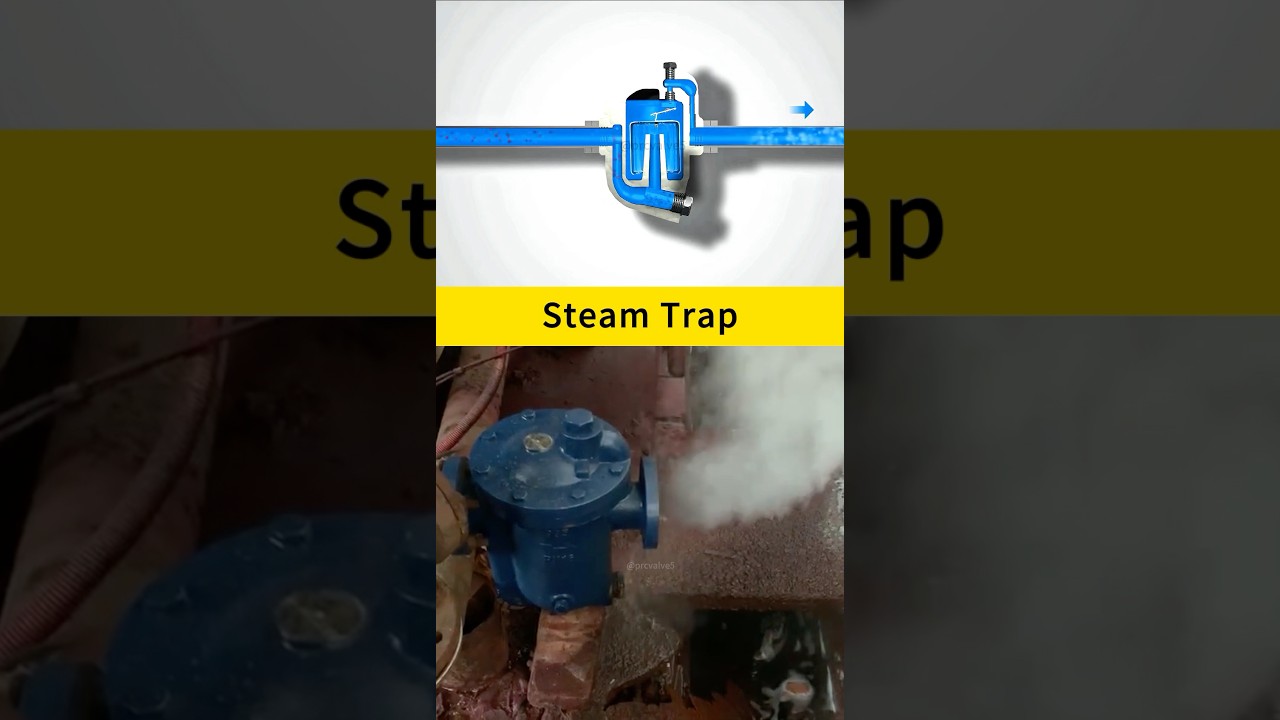 Do you know the working principle of a steam trap? Learn quickly! #Valves #Machinery #Industry