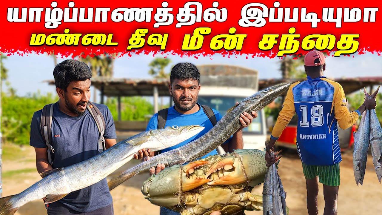 யாழில் உள்ள நண்டு கிராமம் !! நண்டுக்கு மட்டும் தனி சந்தை Jaffna | Kajan Vlogs
