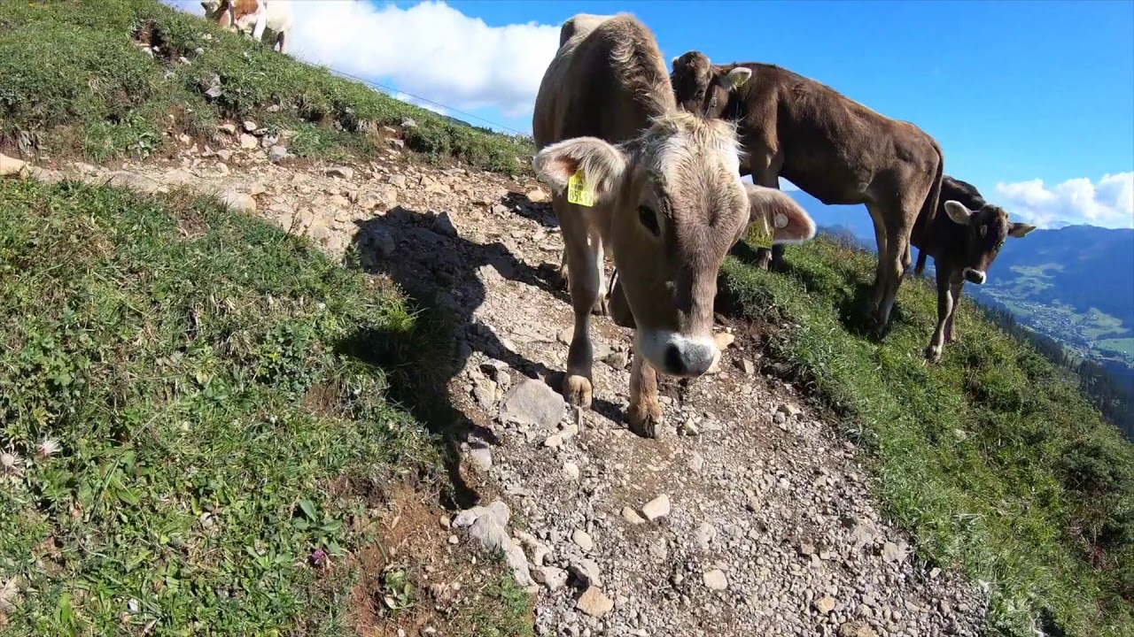 Wanderung zum Hahnenk&ouml;pfle am Gottesackerplateau
