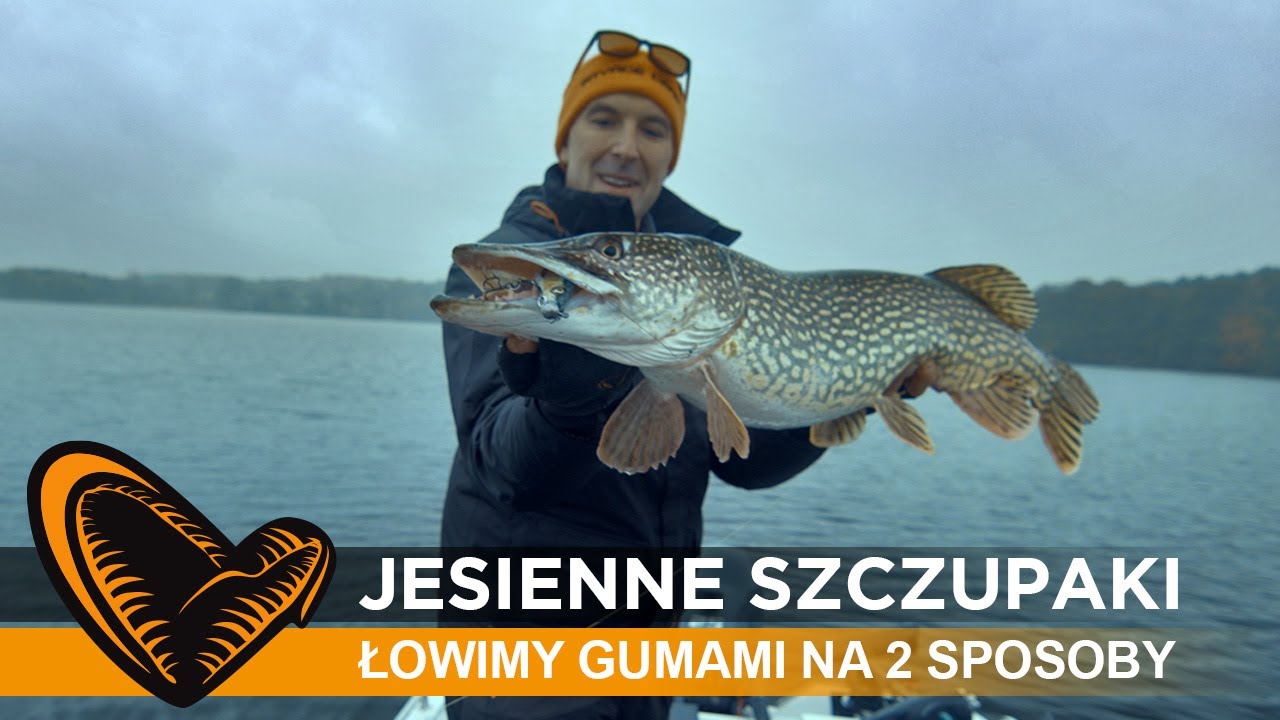 🍂🍁🎣 Jesienne #szczupak-i, czyli łowimy gumami na dwa sposoby // #SavageGear