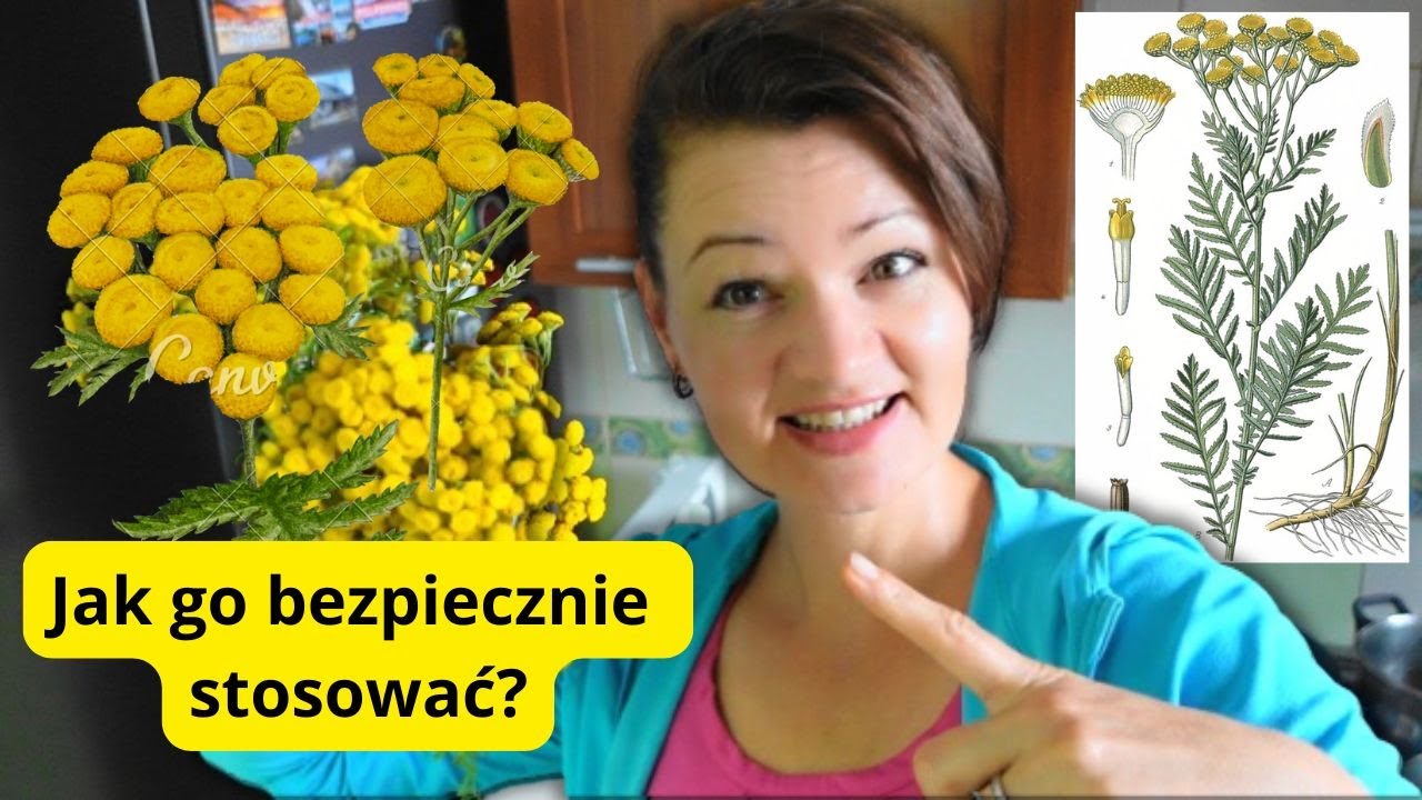 🌿Ratuje skórę od pryszczy i łupieżu, pomaga na bóle stawów - 🌿WROTYCZ🌿 - zioło o silnym działaniu🌿
