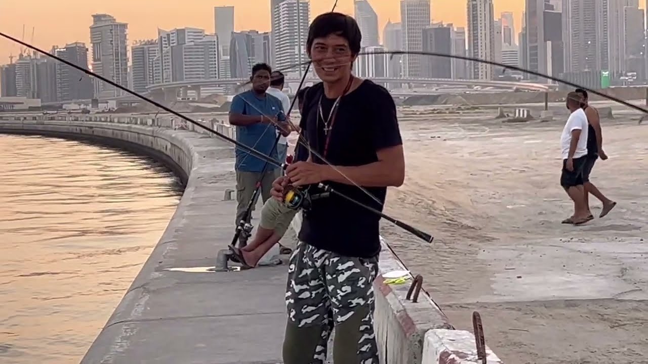 4k Fishing Challenge to Catch Seabream in D3 Business Bay, Dubai