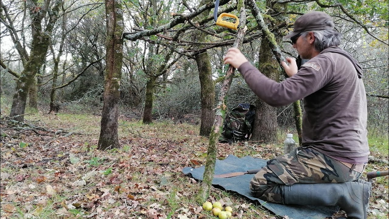 Minimal survival shelter overnight Marshes essential food to survive