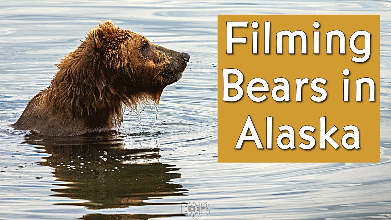 Filming Bears at Brooks Fall in Katmai National Park, Alaska