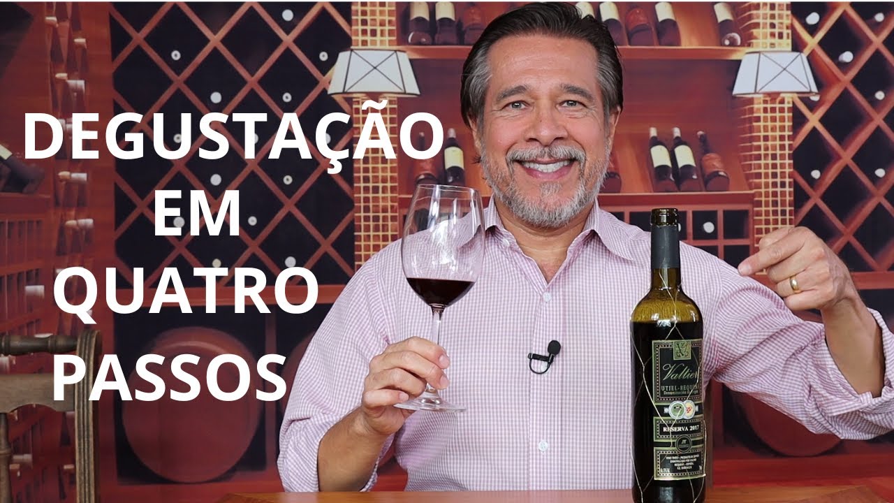 APRENDER A DEGUSTAR VINHO COMO OS ESPECIALISTAS.