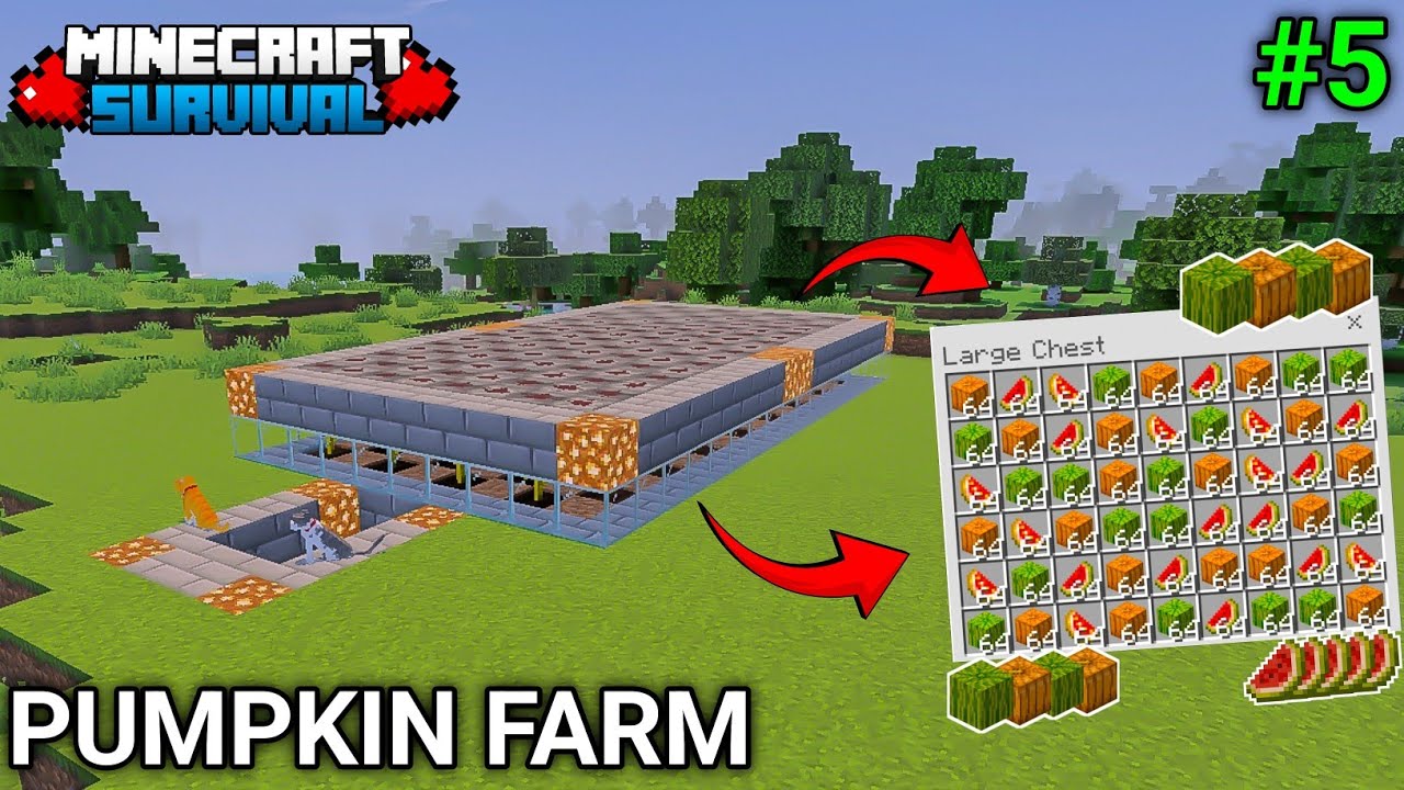 I MADE AUTOMATIC PUMPKIN & WATERMELON FARM || MINECRAFT PE FARM - #5