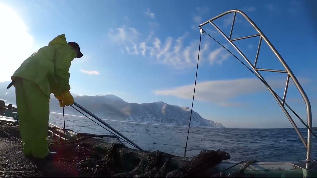 冬の北海道漁師　定置網、底建網