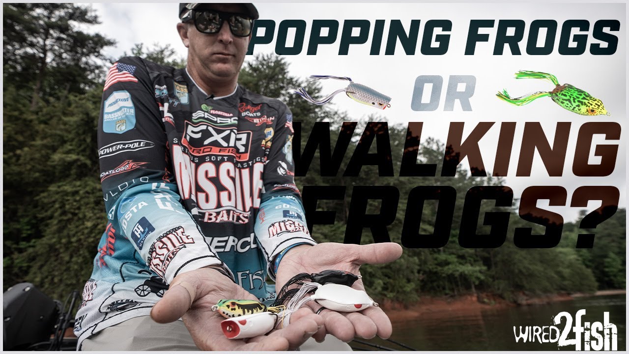 Popping Frogs or Walking Frogs? 🐸