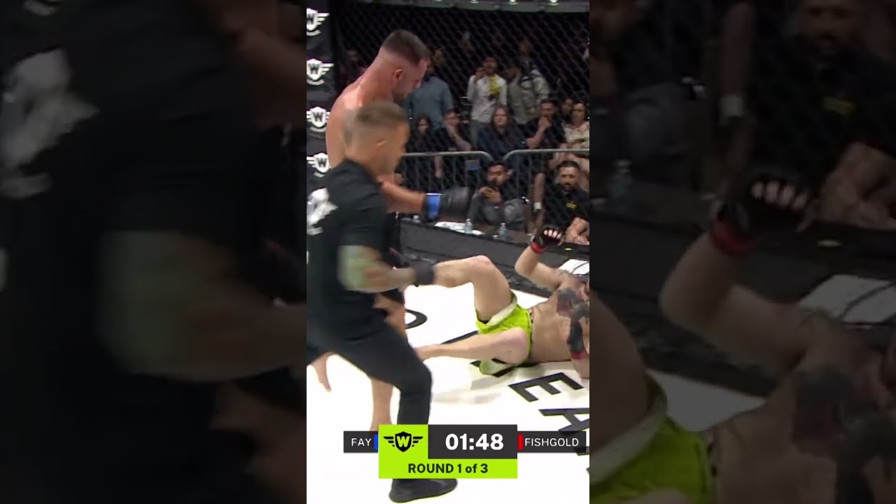 Finishes That Shook the Cage 😳💥 | WFFL 1 Best Knockouts