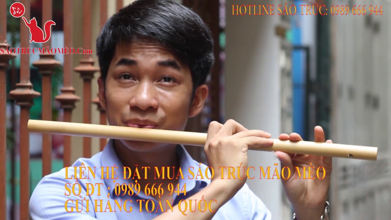 Giấc Mơ Trưa : Mão Mèo