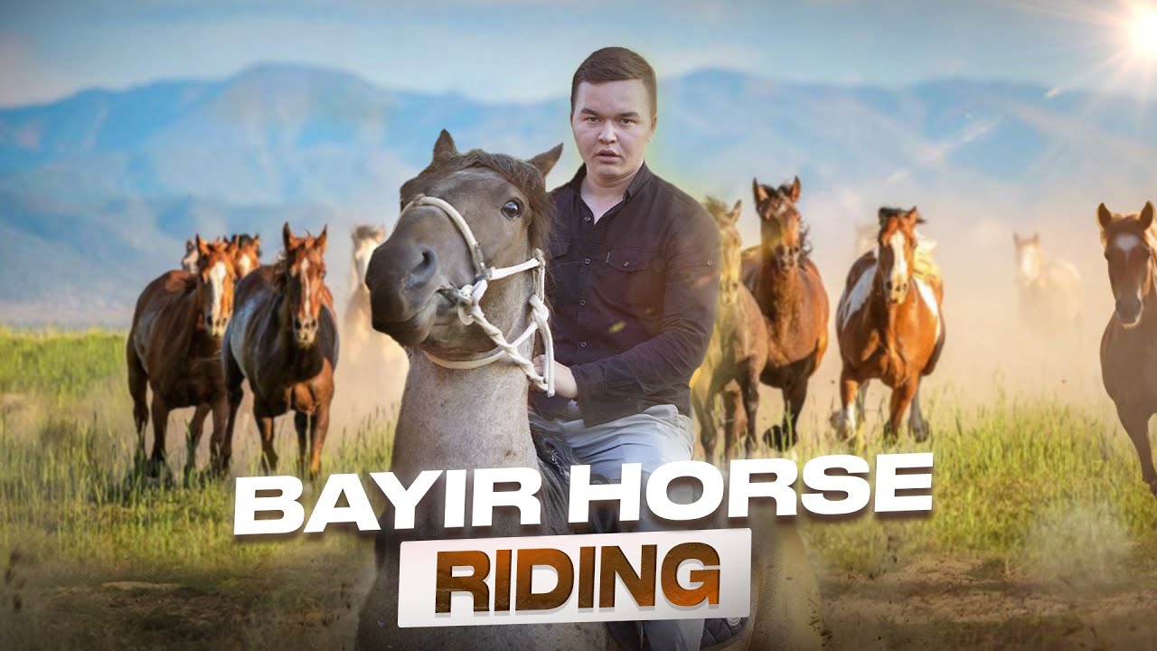 Bayir Horse Riding