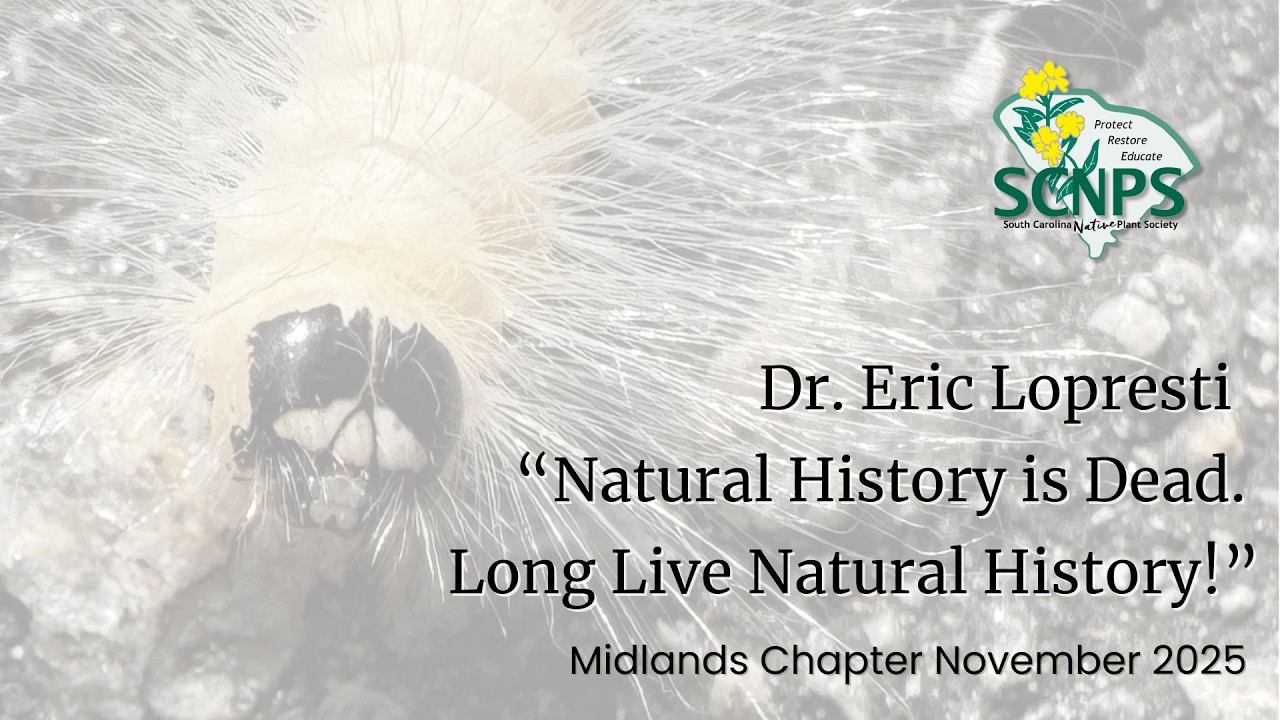 Long Live Natural History!: A Presentation by Dr. Eric LoPresti