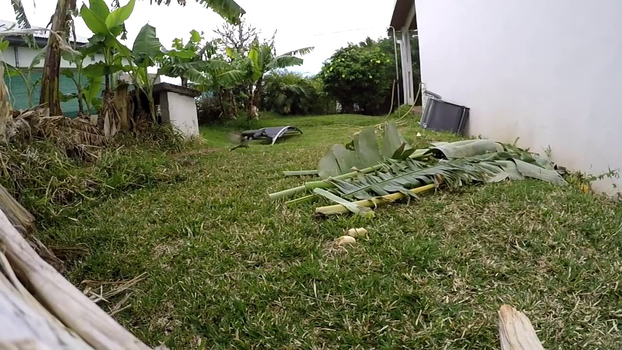 Regardez la technique de chasse incroyable de ce chat tr&egrave;s malin !