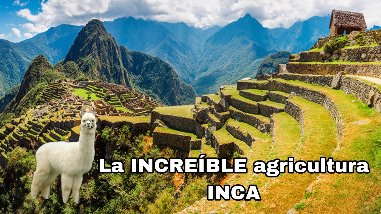 La INCREÍBLE agricultura INCA