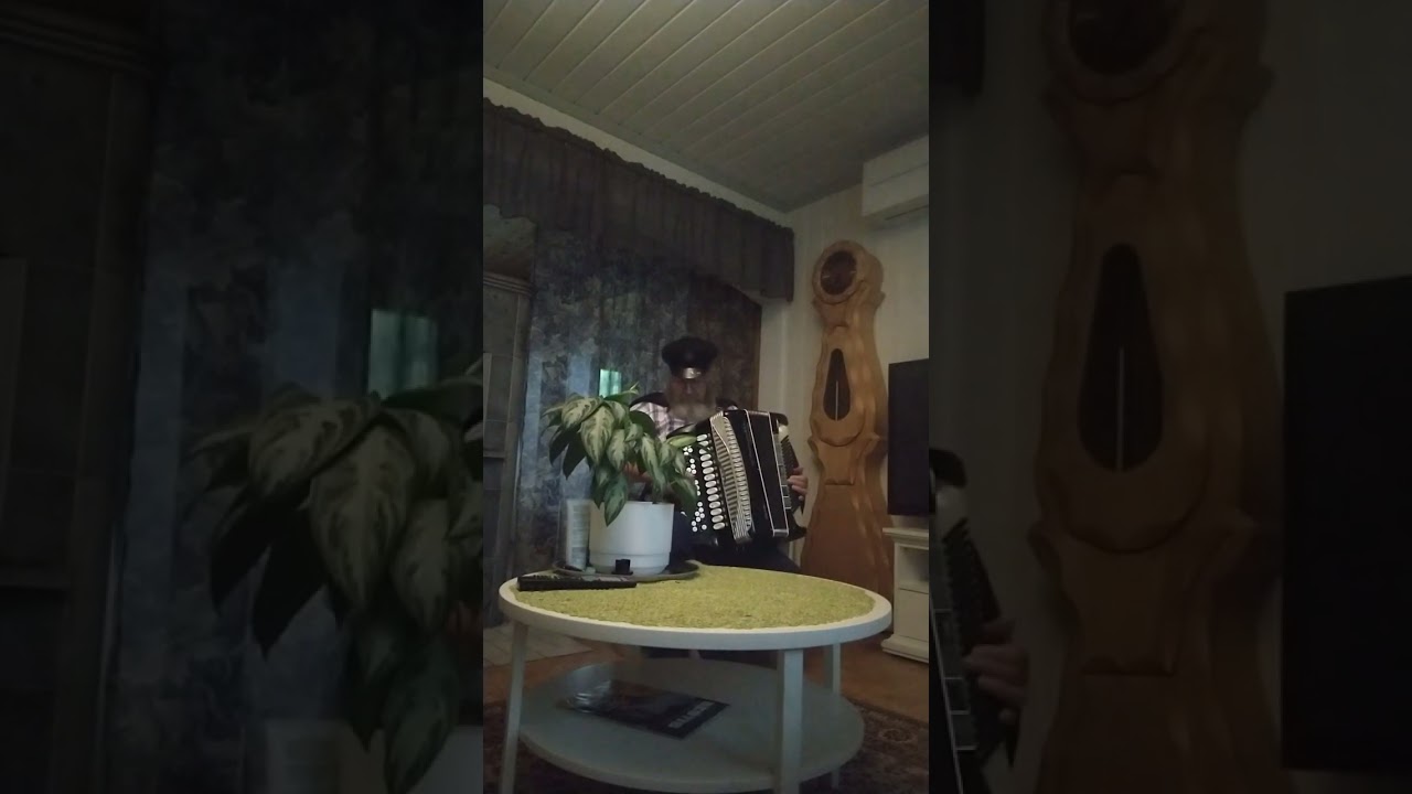 Heikki Niskanen - Kulkuri ja joutsen