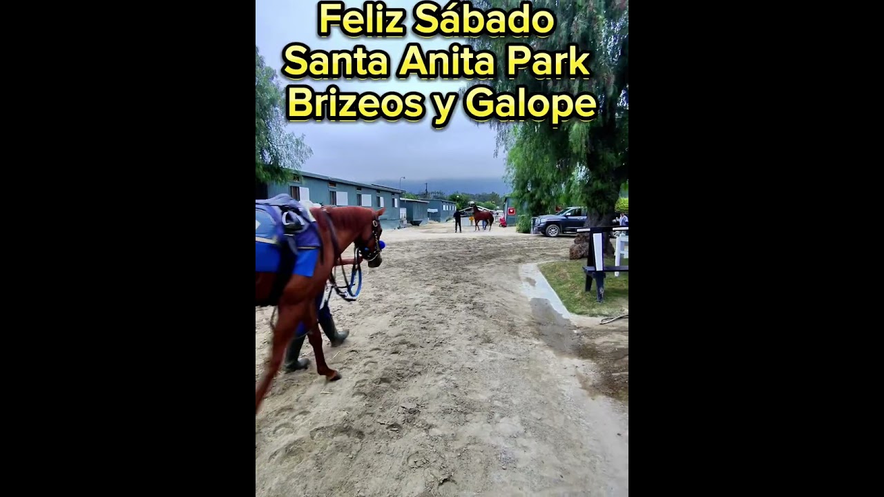 traqueos Santa Anita Park