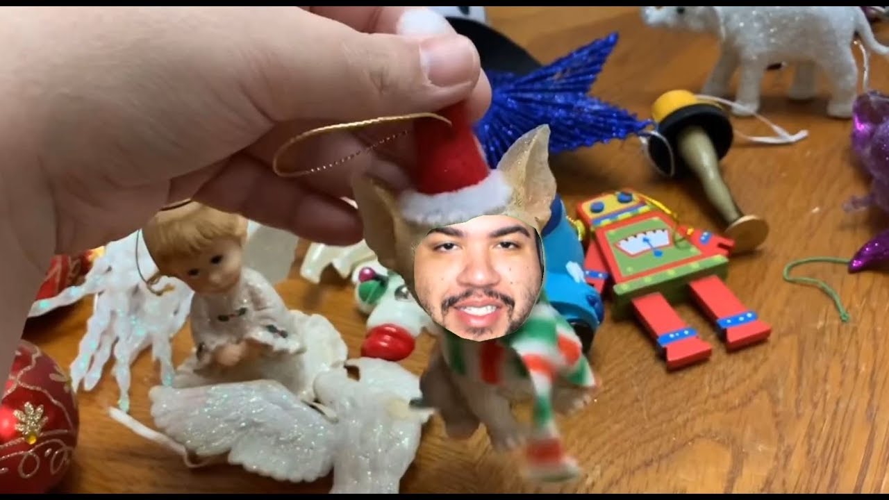 What is an Ordament??? Amberlynn Reid Vlogmas day 3 | React