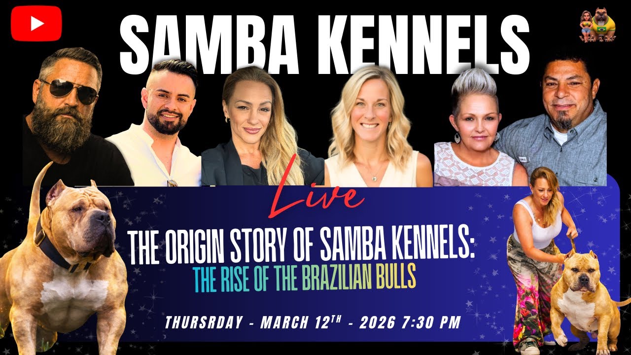 The Origin Story Of Samba Kennels | Rise of the Brazilian Bulls