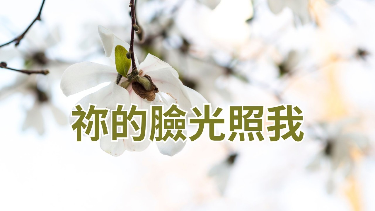 祢的臉光照我