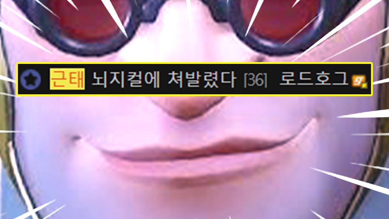오버워치갤러리 오야봉 쓰러졌네?