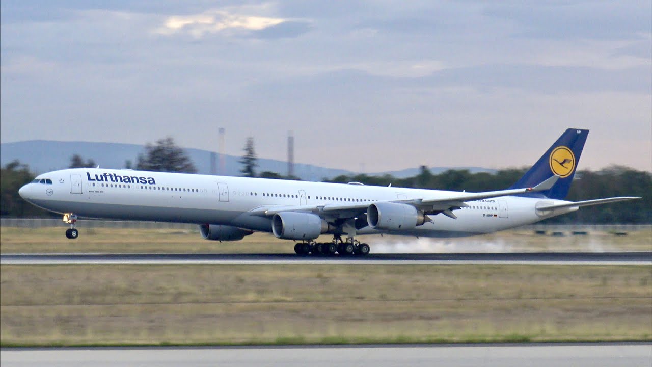 [4K] The Wonderful Lufthansa A340-600 & A340-300 | Frankfurt Airport Plane Spotting