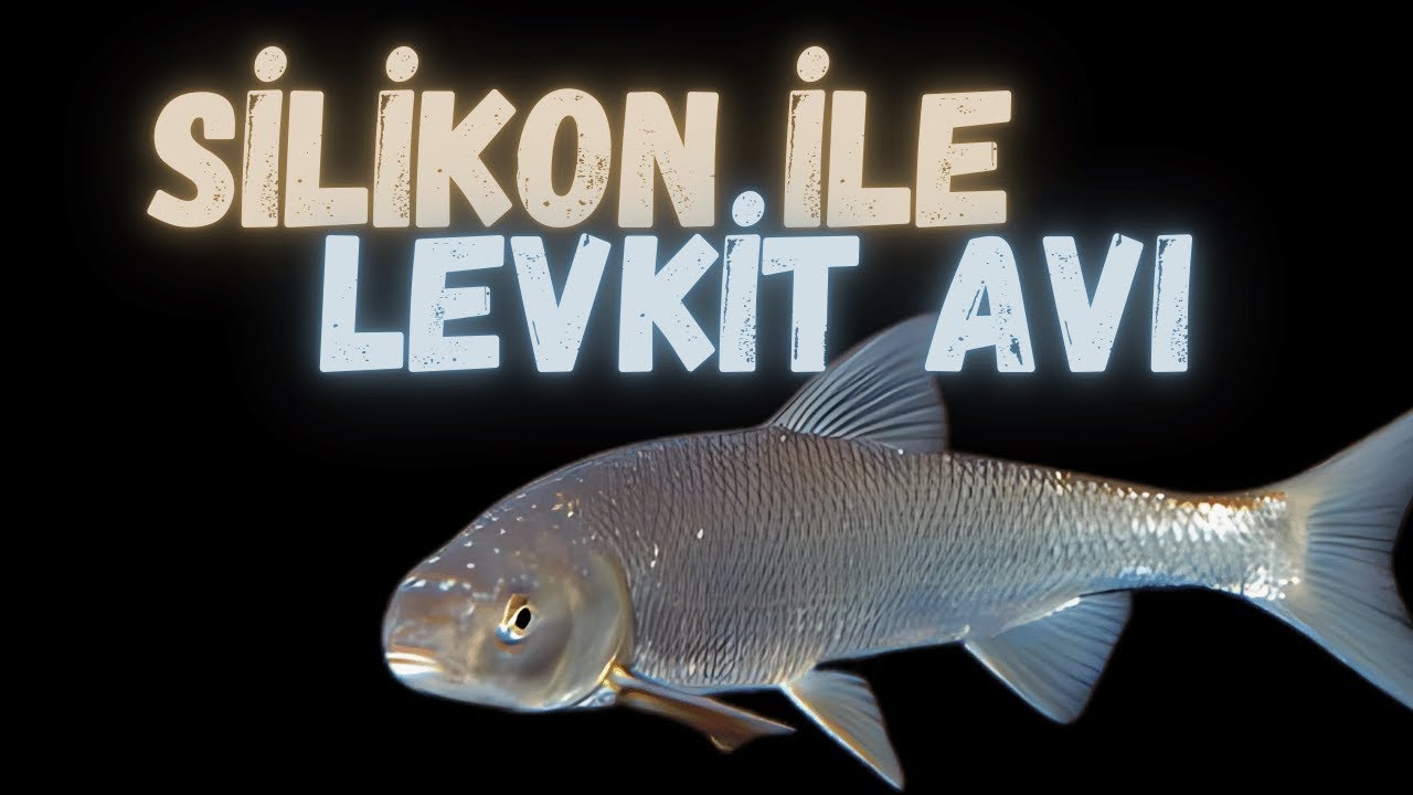 Silikon ile Levkit Avı: Balıkçı Kanosu ile ilk av