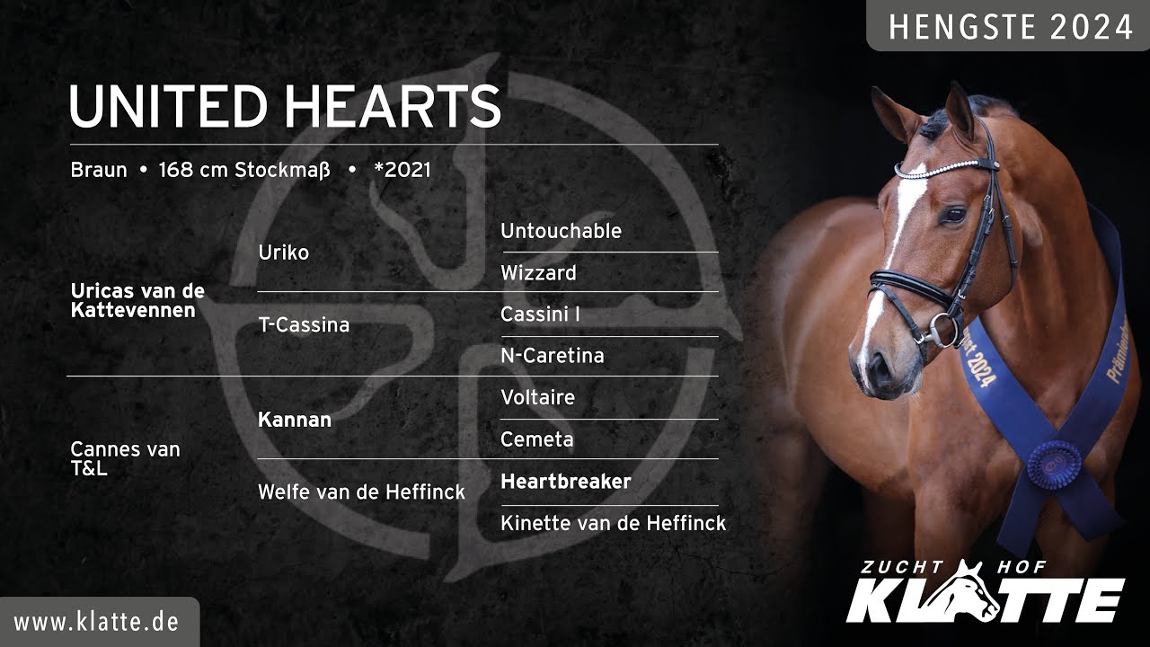 UNITED HEARTS *2021 v. Uricas vd Kattevennen x Kannan x Heartbreaker  HENGSTE 2024 www.klatte.de