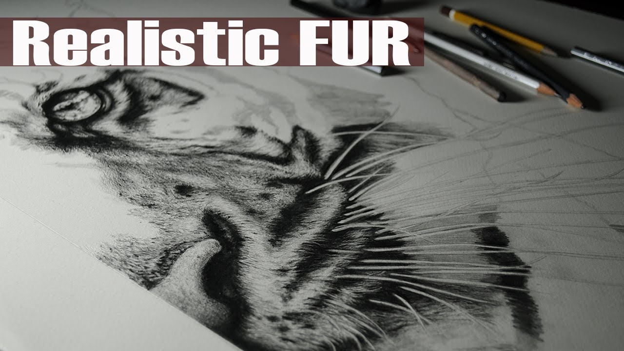 How to draw a Tiger Face - part 6 short fur